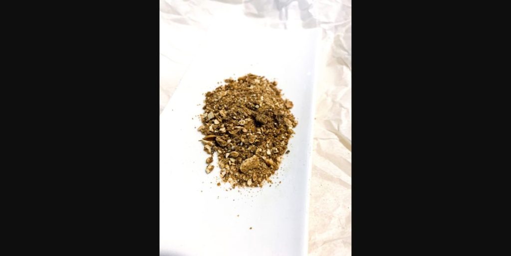 Wild bitter lemon powder – original photograph