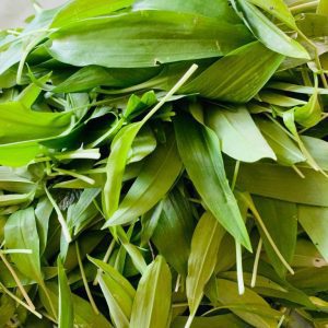 Čemaž - Divji Česen Sušen V Prahu 50 g