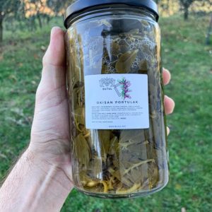 Portulak  Tolščak Okisan 370 ml