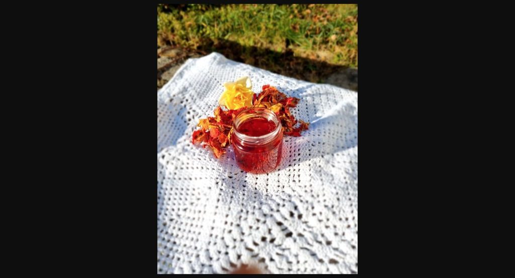 Original photograph of Malvasia wine jelly with rose among petals