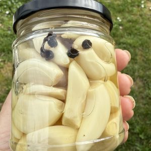 Česen V Slanici 212 ml