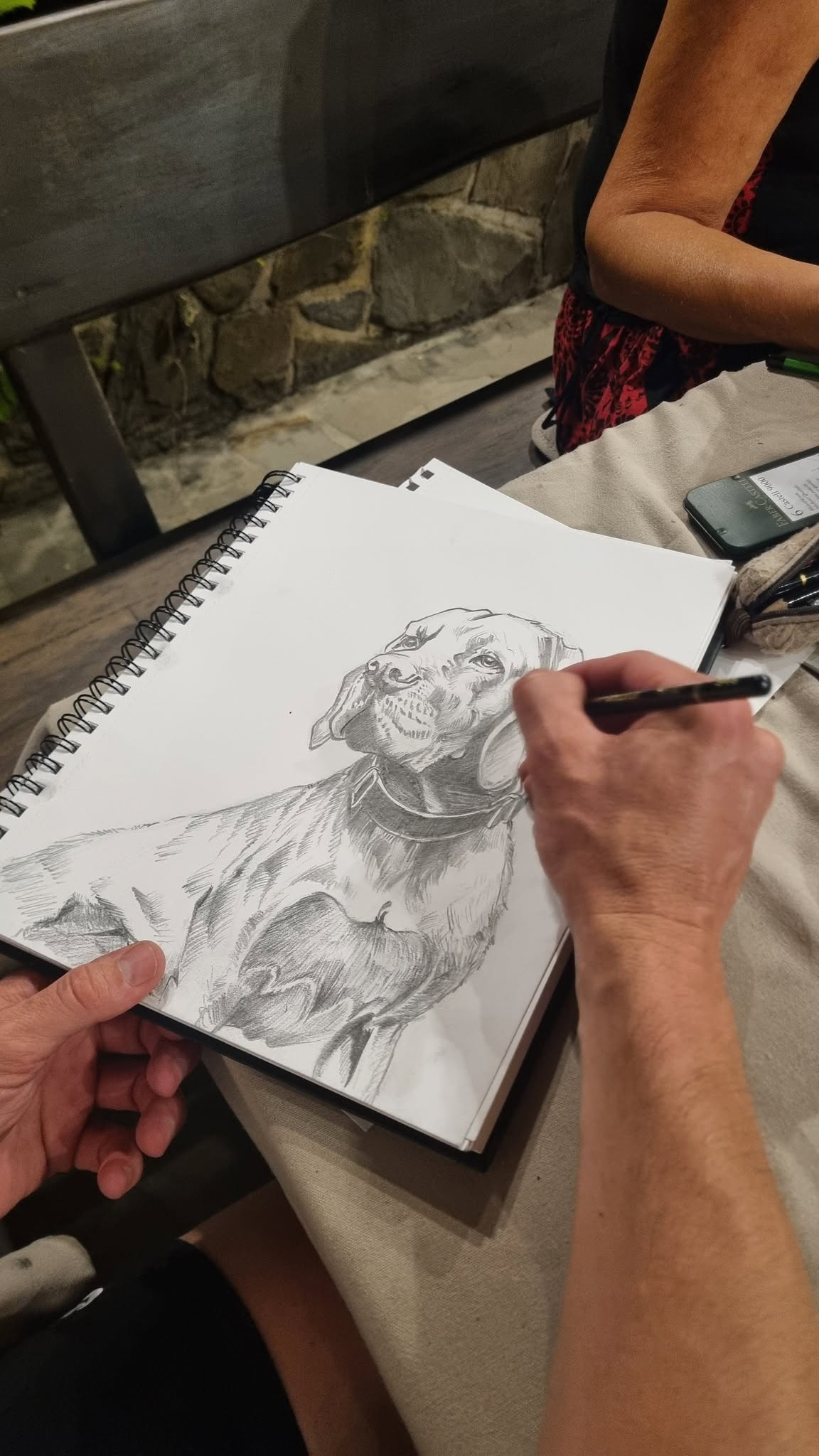 Portret Viža med nastajanjem.